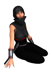 Image showing Ninja