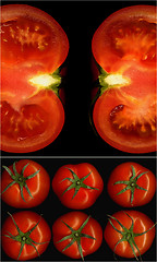 Image showing tomatoes collage