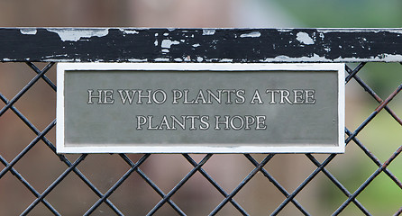 Image showing He who plants a tree plants hope