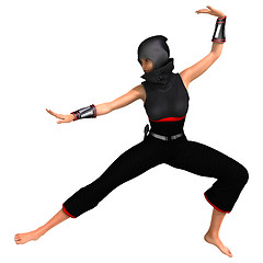 Image showing Ninja