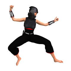 Image showing Ninja