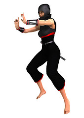 Image showing Ninja