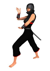 Image showing Ninja