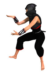 Image showing Ninja