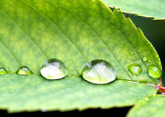 Image showing water drop