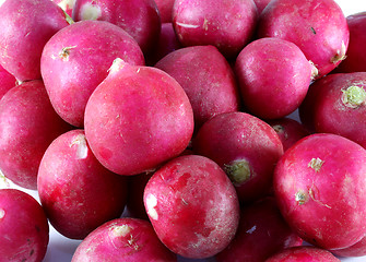 Image showing vegetable radish