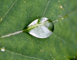 Image showing water drop