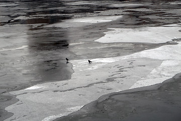 Image showing Ice floating on the river in winter