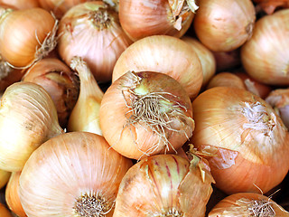 Image showing texture of onions photographed close up