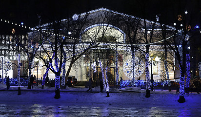 Image showing The lights in winter park