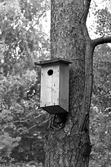 Image showing house for birds