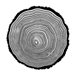 Image showing Tree rings background illustration