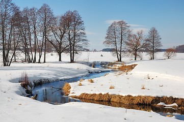 Image showing Winter