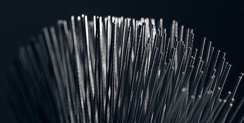 Image showing metal filaments