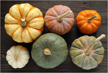 Image showing Squash and pumpkins