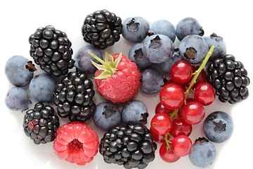 Image showing Berries