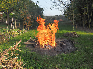 Image showing Burning fire