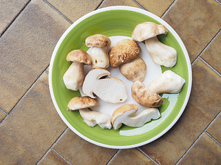 Image showing Porcini Mushroom