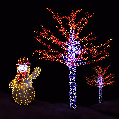 Image showing Illuminated trees and Snowman