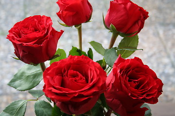 Image showing Roses