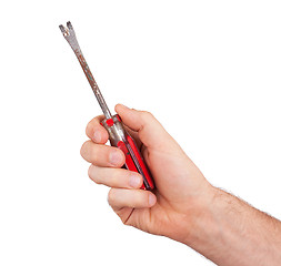 Image showing Nail puller isolated