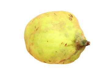 Image showing quince over white background