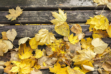 Image showing Bench in autumn close up