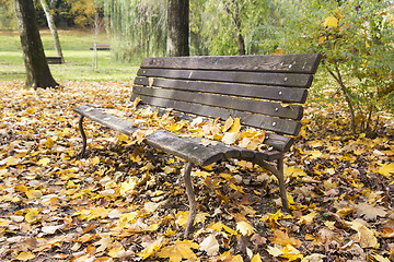 Image showing Bench in autumn