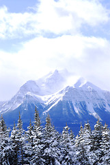 Image showing Snowy mountain