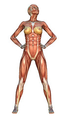 Image showing Muscle Maps