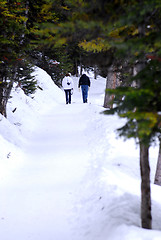 Image showing Snowy path