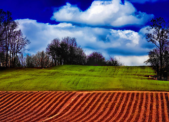 Image showing Typical Polish landscape