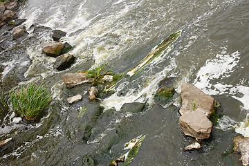 Image showing Rapid foaming river stream