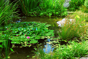 Image showing Pond landscaping