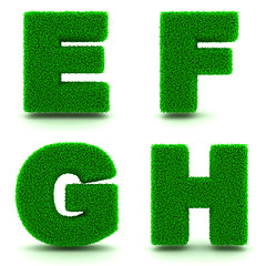 Image showing Letters E, F, G, H. Alphabet Set of Green Grass.