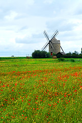 Image showing Windmill and poppy field