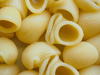 Image showing Lumache pasta food