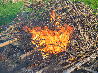 Image showing Burning fire