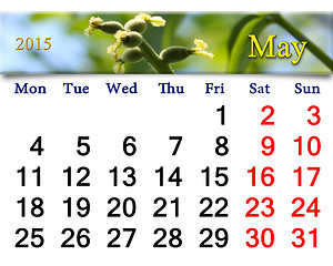 Image showing calendar for May of 2015 with image of blooming walnut
