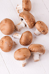 Image showing Fresh brown portobello or agaricus mushrooms