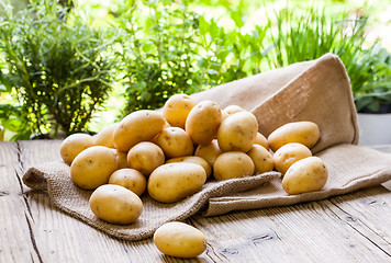 Image showing Farm fresh  potatoes on a hessian sack