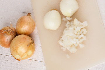 Image showing Whole, peeled and diced brown onion