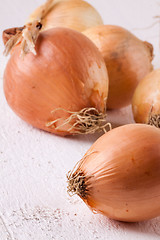 Image showing Small fresh brown onions