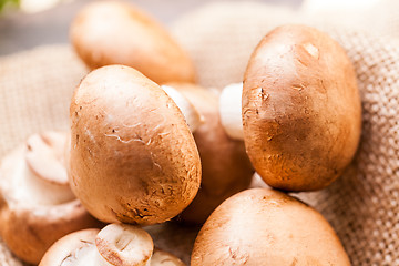 Image showing Fresh brown Agaricus mushrooms