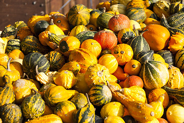 Image showing decoration mini pumpkin cucurbita pumpkin pumpkins from autumn h