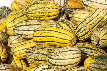 Image showing Delicata sweet Potato cucurbita pumpkin pumpkins from autumn har