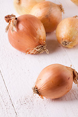 Image showing Small fresh brown onions