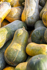 Image showing Sonca cucurbita pumpkin pumpkins from autumn harvest