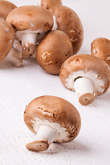 Image showing Fresh brown portobello or agaricus mushrooms