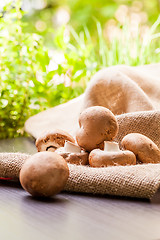 Image showing Fresh brown Agaricus mushrooms